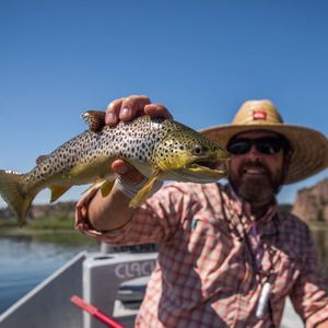 Meet your Posher, Jonathan